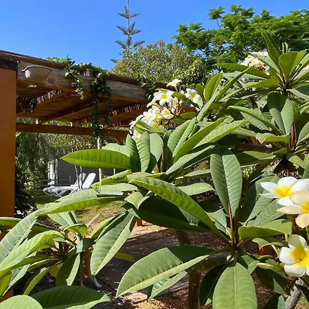 Lodge Markethome Plataneras Chio (Tenerife)