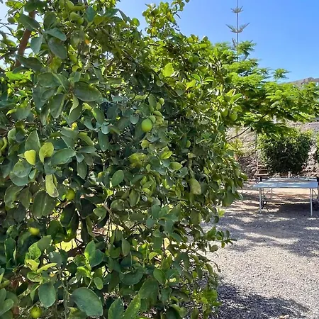 Jaktstuga Markethome Plataneras *