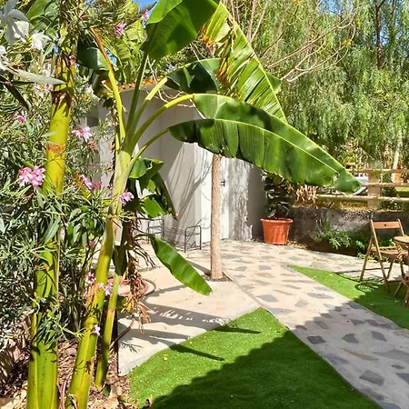 Markethome Plataneras *