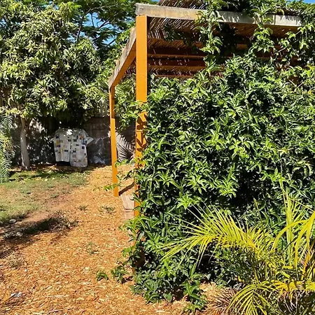 Jaktstuga Markethome Plataneras